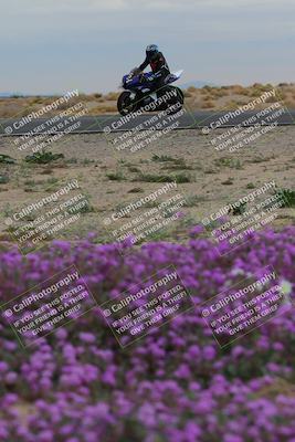 media/Jan-14-2023-SoCal Trackdays (Sat) [[497694156f]]/Turn 14 Exit Bloomig (145pm)/